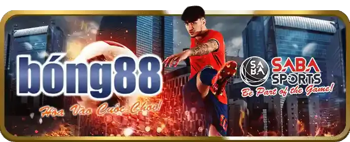 Chương Trình VIP và Phần Thưởng Đặc Biệt bq88